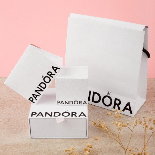 Pandora Case Shopping Bag Ring Necklace Bracelet Gift Case